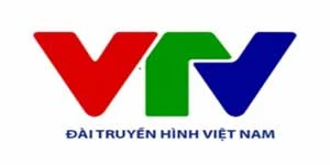 vtv